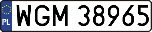 WGM38965