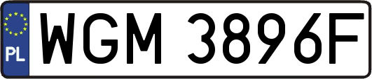 WGM3896F