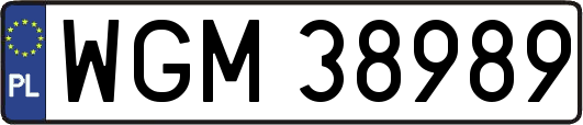 WGM38989