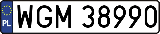 WGM38990