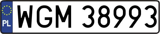 WGM38993