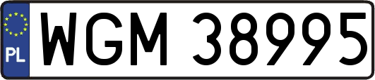 WGM38995