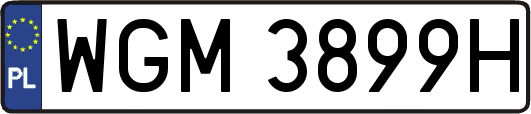 WGM3899H