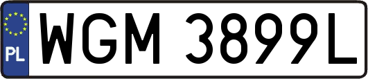 WGM3899L