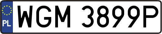 WGM3899P