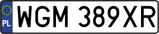 WGM389XR
