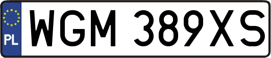WGM389XS