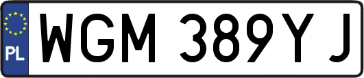 WGM389YJ