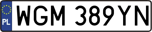 WGM389YN