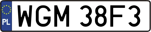 WGM38F3
