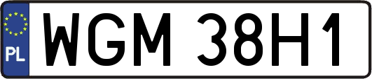 WGM38H1