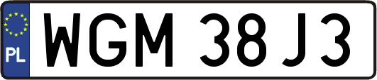 WGM38J3