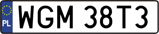 WGM38T3