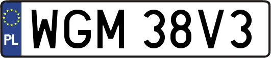 WGM38V3