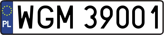 WGM39001