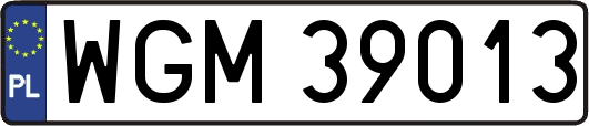 WGM39013