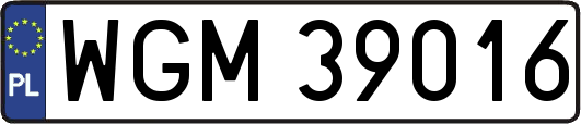 WGM39016