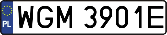 WGM3901E