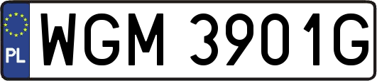 WGM3901G