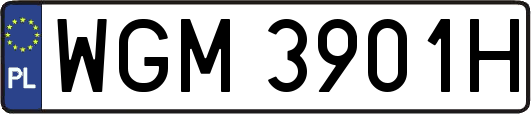 WGM3901H