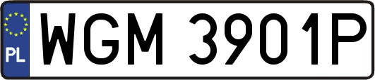 WGM3901P