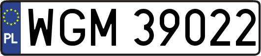 WGM39022