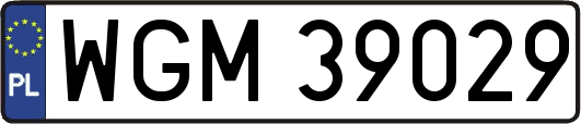 WGM39029