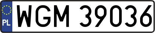 WGM39036