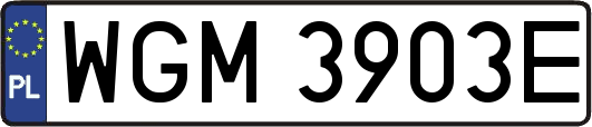 WGM3903E