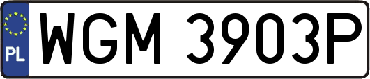 WGM3903P