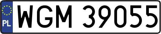 WGM39055
