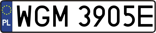 WGM3905E