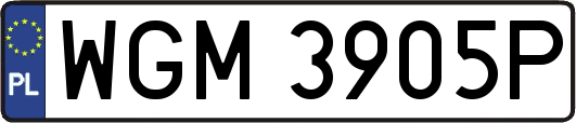 WGM3905P