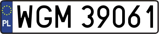 WGM39061