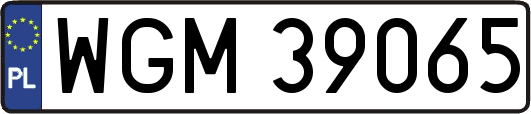 WGM39065