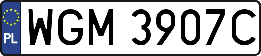 WGM3907C