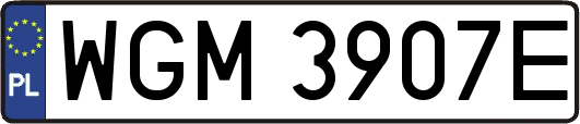 WGM3907E