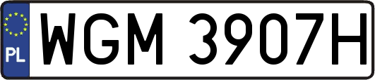 WGM3907H
