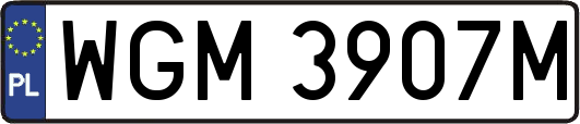 WGM3907M