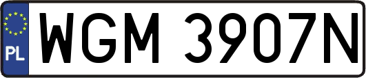 WGM3907N