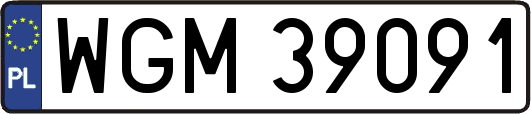 WGM39091
