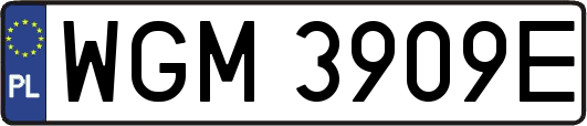 WGM3909E