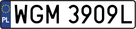 WGM3909L