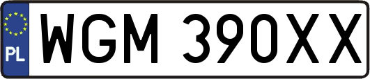 WGM390XX