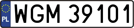 WGM39101