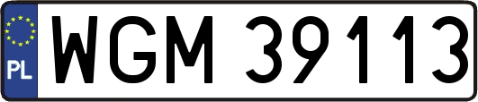 WGM39113