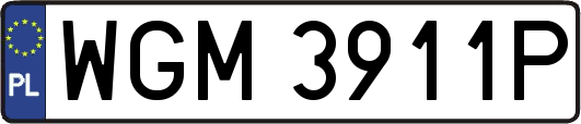 WGM3911P