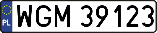 WGM39123