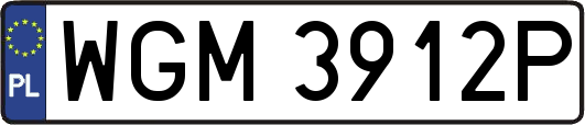 WGM3912P