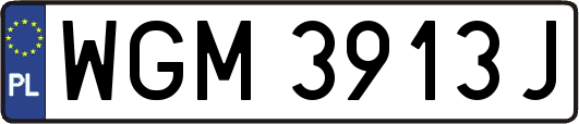 WGM3913J